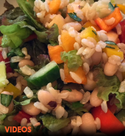  Vegan plant-based Recipe Videos Garden Dish